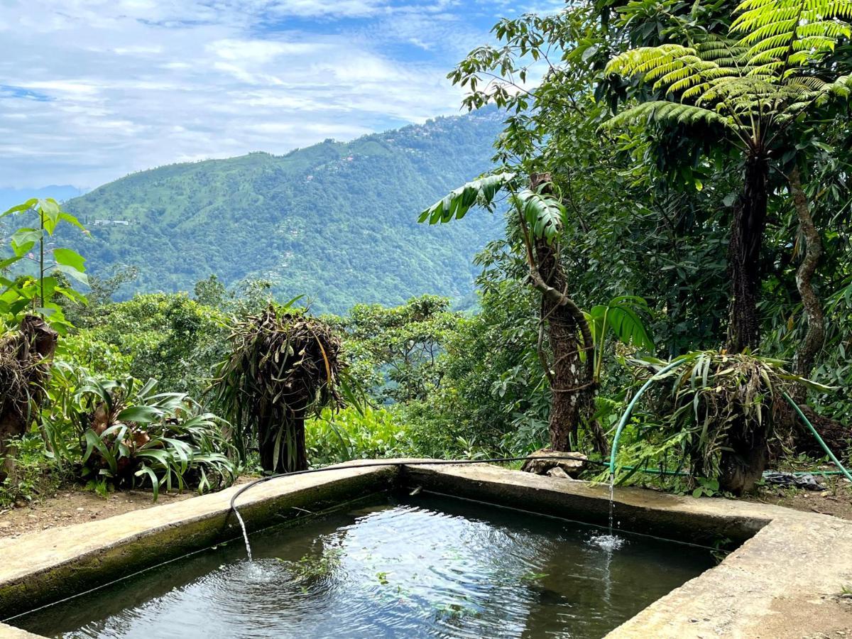Hosanna Homestay Darjeeling  Exteriör bild