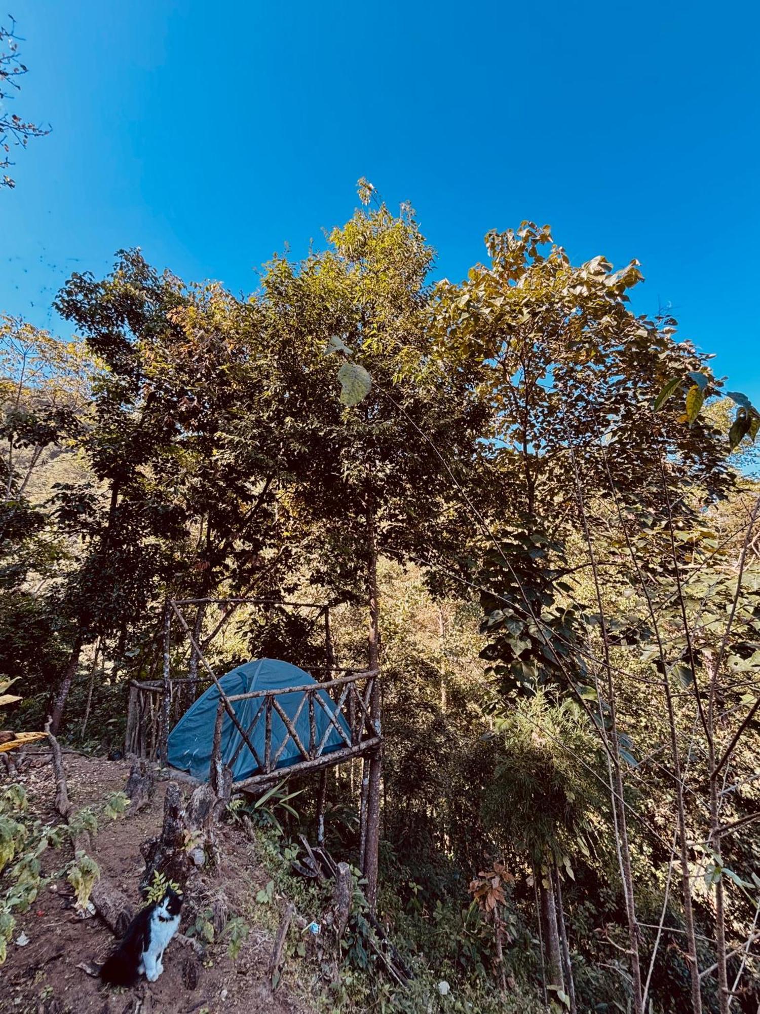 Hosanna Homestay Darjeeling  Exteriör bild
